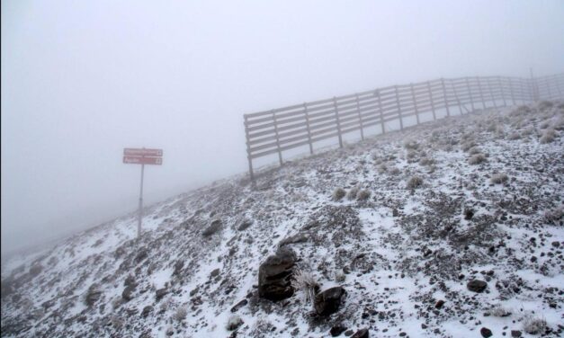 Comienza a caer la nieve en Sierra Nevada