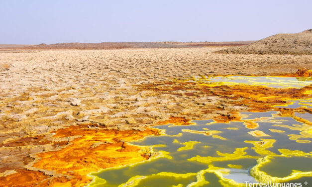Conoce el mundo con Terres Llunyanes