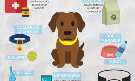 Consejos para viajar con mascotas