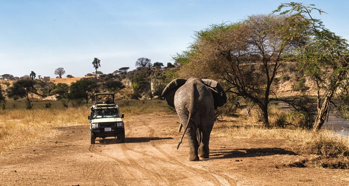 De safari en Tanzania