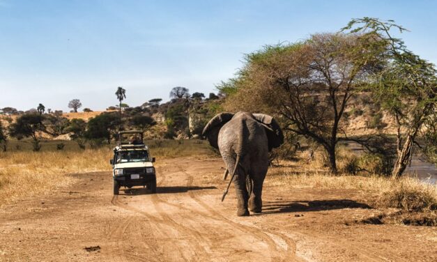 De safari en Tanzania