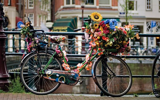 Holanda, donde la bicicleta es más valorada