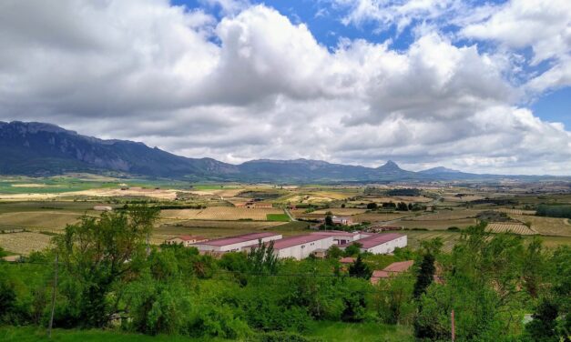 5 cosas para hacer en La Rioja