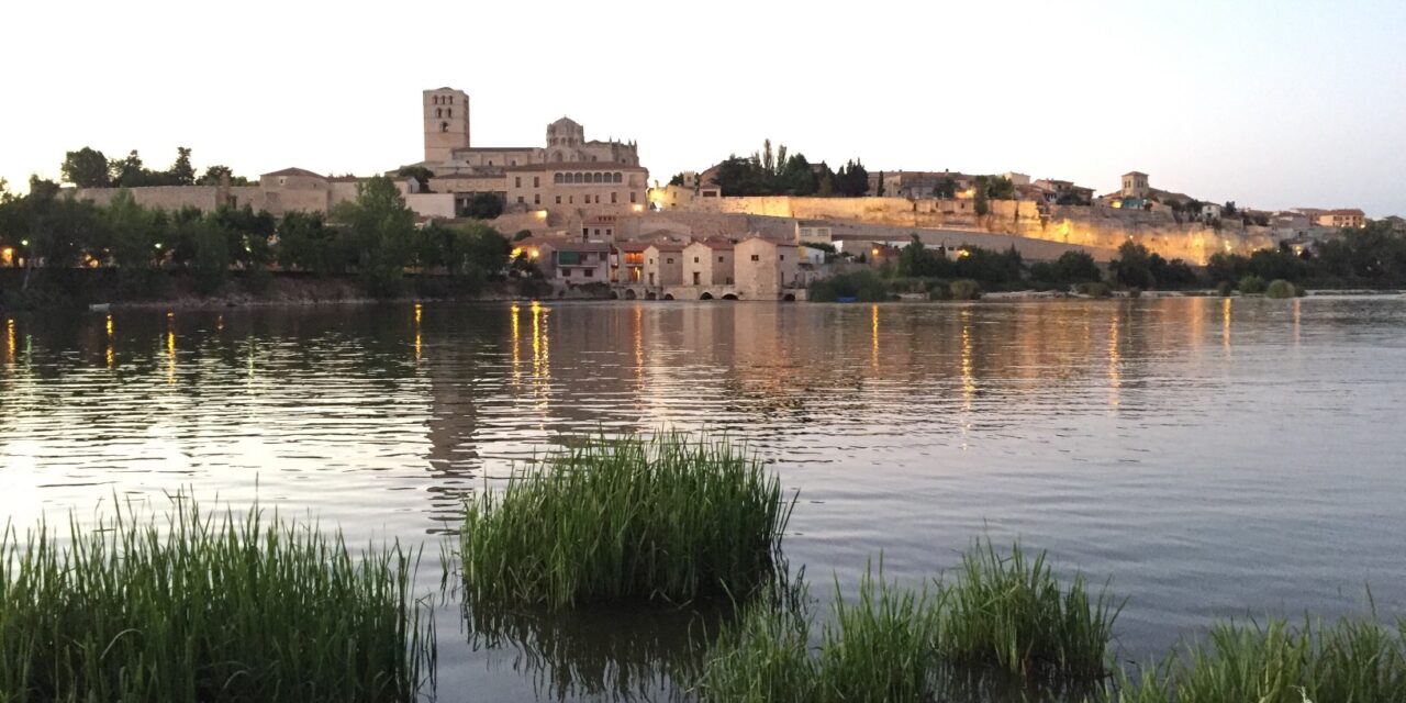 Visita Zamora y haz que sea una experiencia única