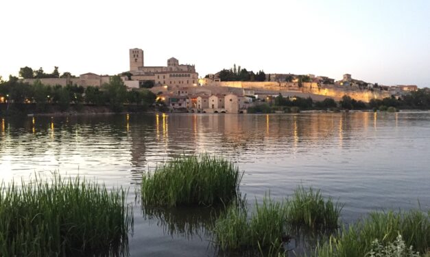 Visita Zamora y haz que sea una experiencia única