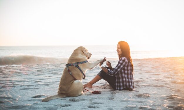 Las mejores playas para perros de Galicia en 2022